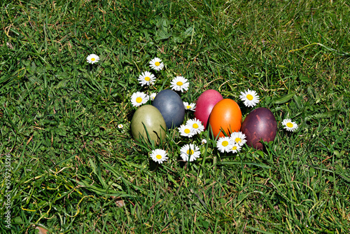 Ostereier Gruppe Gänseblümchen 06