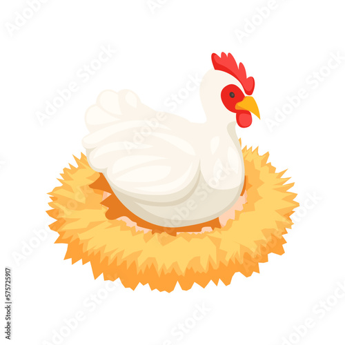 Laying Hen Isometric Composition