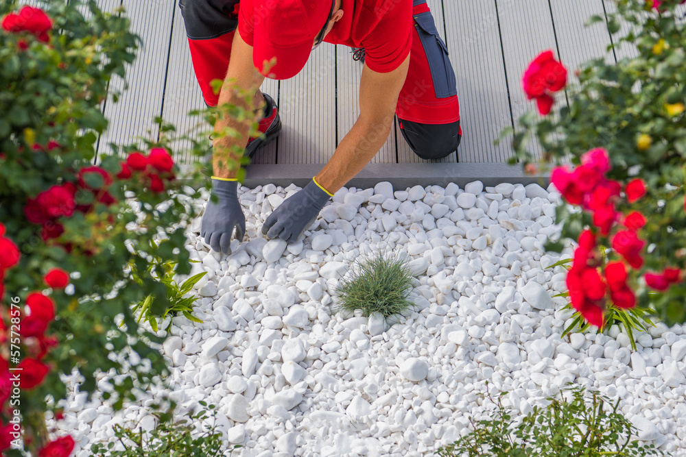 Professional Gardener Completing Landscape Design with White Pebbles - obrazy, fototapety, plakaty 
