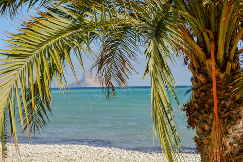 palm trees on the beach © Dean