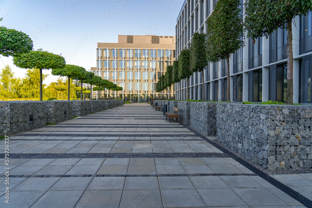 Perspective view of paved path with modern wooden benches in front of gabion tree tubs made of wire and filled with stones, in recreation area near modern office building.