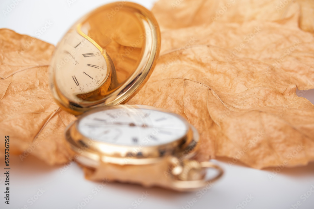 Pocket gold watch and dry beige leaves. Pocket gold watch and dry beige leaves.