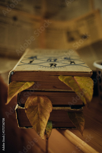 old book on table