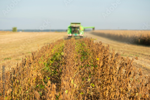 Harvesting of soybean