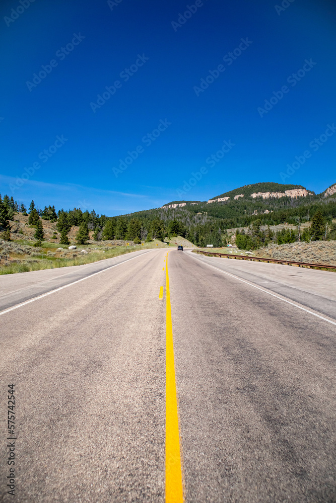 Bighorn National Forrest in Wyoming on highway 16 with Limber Pine (Pinus flexilis) growing in the rocky cliffs Bighorn National Forrest in Wyoming on highway 16 with Limber Pine (Pinus flexilis) growing in the rocky cliffs