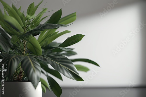 Close-up of House Plant on Desk. Photo generative AI