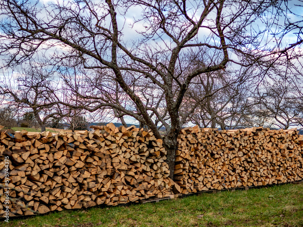 Brennholzlager auf einer Wiese im Winter