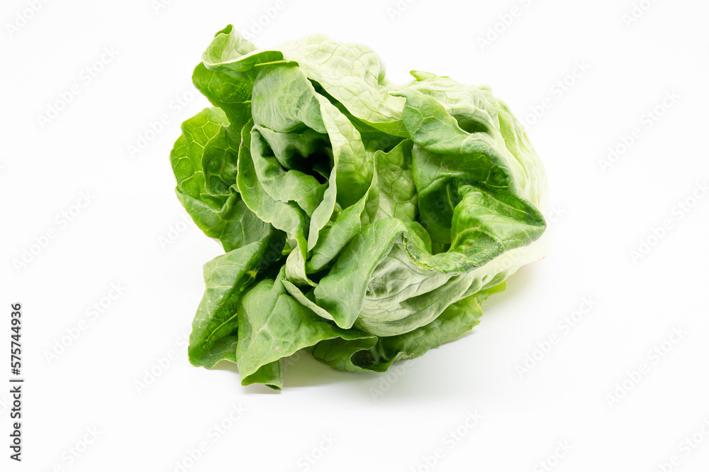 Little Gem lettuce isolated on white background Little Gem lettuce isolated on white background