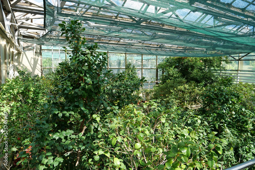 Cultivation and protection of plant species in hothouse listed in Red Book