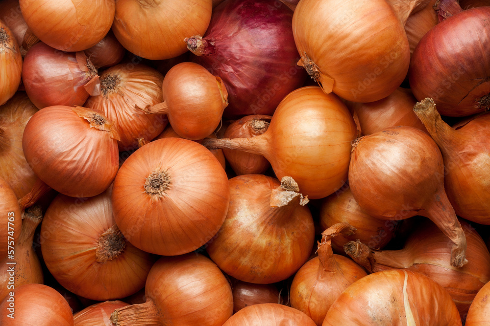 Ripe bulb onions Close-up Background Or Texture. Bulb onions Harvest, Many Bulb onions Ripe bulb onions Close-up Background Or Texture. Bulb onions Harvest, Many Bulb onions
