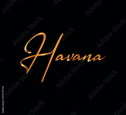 decorative 3d gold havana text on black background
