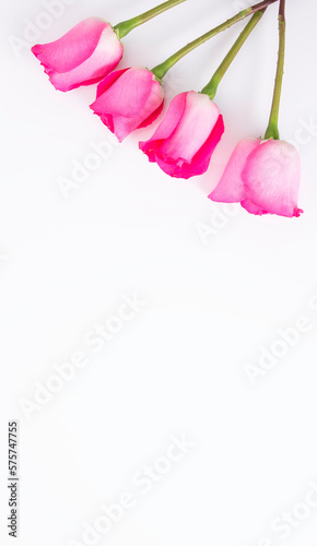 Vertical white background with 4 pink flowers on top