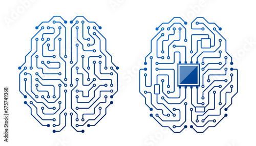 Brain Circuit, Intricate Network Of Neurons Connected By Synapses, Forming Pathways For Information Processing