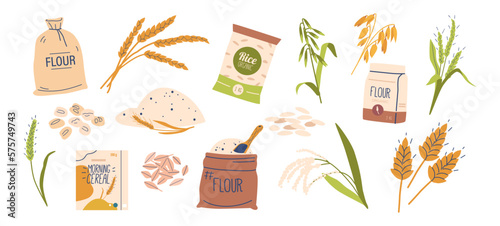 Set of Cereal Products, Various Breakfast Grains, Stalks, Boxes, and Sacks with Flour for Advert, Packaging, Menu Design