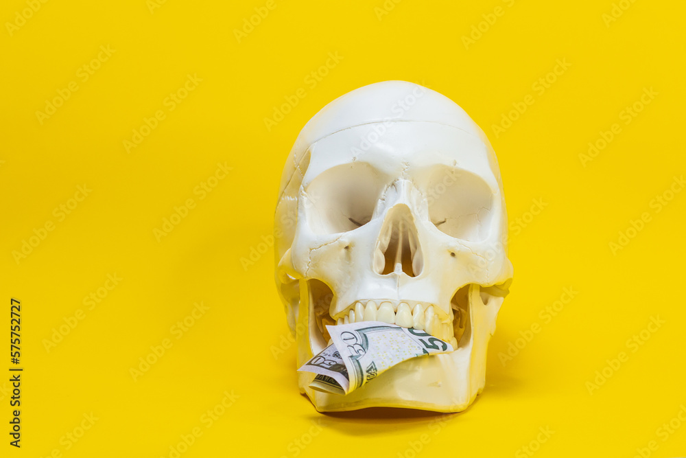 human skull with a bill of money in teeth,skeleton bone,bill of dollars,object,funny,frightening,holds a banknote in teeth and stands on the surface of a yellow background.concept workaholic death human skull with a bill of money in teeth,skeleton bone,bill of dollars,object,funny,frightening,holds a banknote in teeth and stands on the surface of a yellow background.concept workaholic death