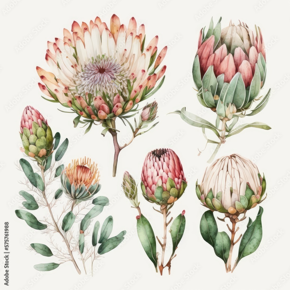 Fototapeta premium collection of flowers