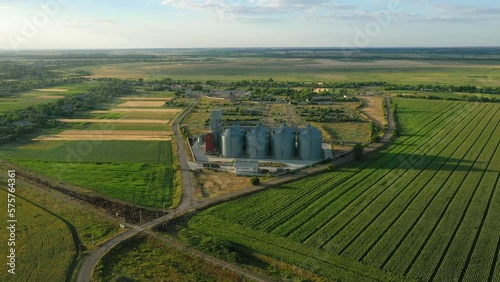 modern grain silos at the field of blooming sunflowers