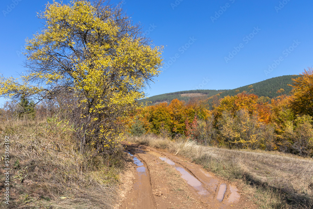 Fototapeta premium Autumn Landscape of Erul mountain, Bulgaria