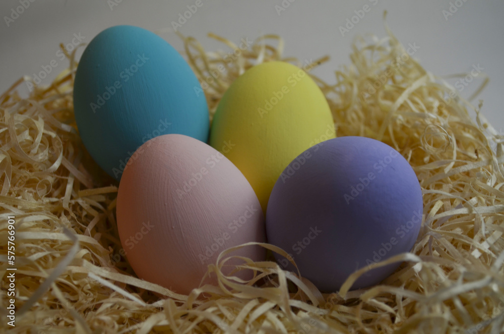 Obraz premium easter eggs in a nest