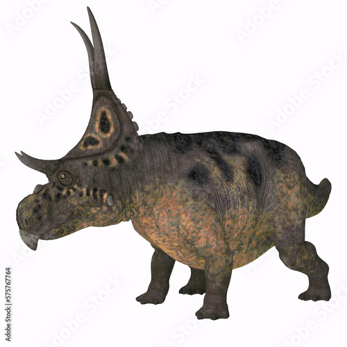 Horned Diabloceratops Dinosaur - Diabloceratops was a horned herbivorous dinosaur that lived in Utah  USA during the Cretaceous Period.