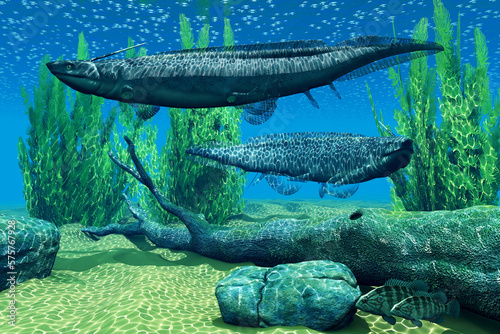 Xenacanthus Devonian Fish - Xenacanthus was a carnivorous marine shark that lived in Devonian and Triassic Period seas. photo