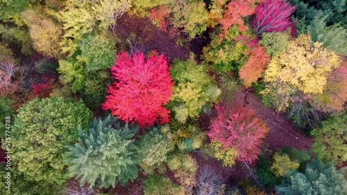 fall drone fly over 