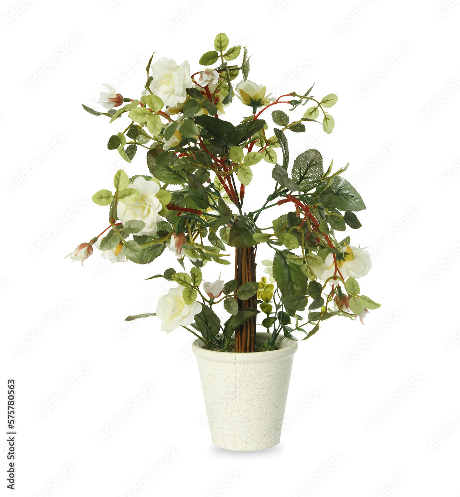 Variedad de flores y plantas artificiales. Margaritas, rosas, cactus, mastuerzo en macetas blancas estilo vintage .decoración, interiores, png, transparente. Variedad de flores y plantas artificiales. Margaritas, rosas, cactus, mastuerzo en macetas blancas estilo vintage .decoración, interiores, png, transparente.
