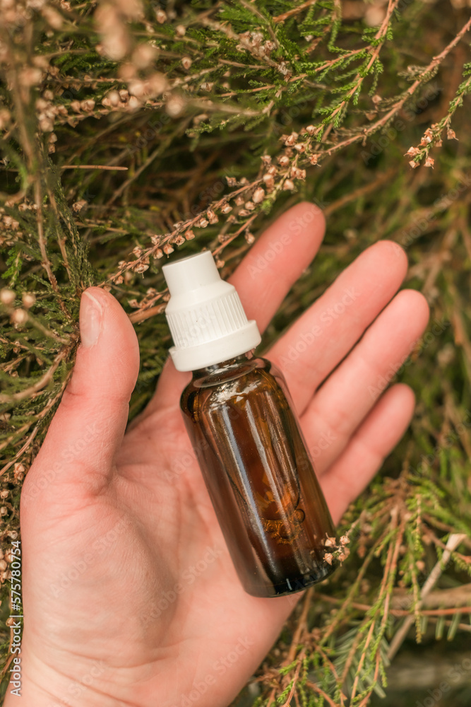 Fototapeta premium homeopathic remedies. Herbal tincture in hand in heather.natural pharmacy. Treatment with herbal remedies.Herbs and flowers for beauty and health.Organic Natural Forest Cosmetics