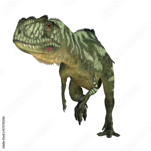 Yangchuanosaurus dinosaur isolated 