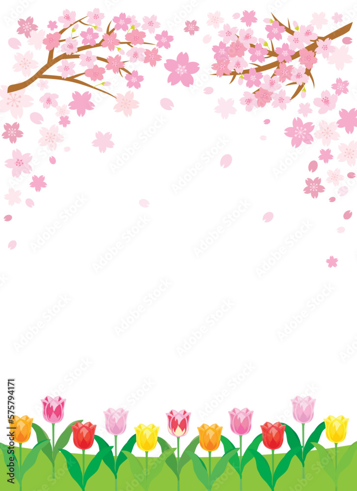 春の桜とチューリップの背景イラスト