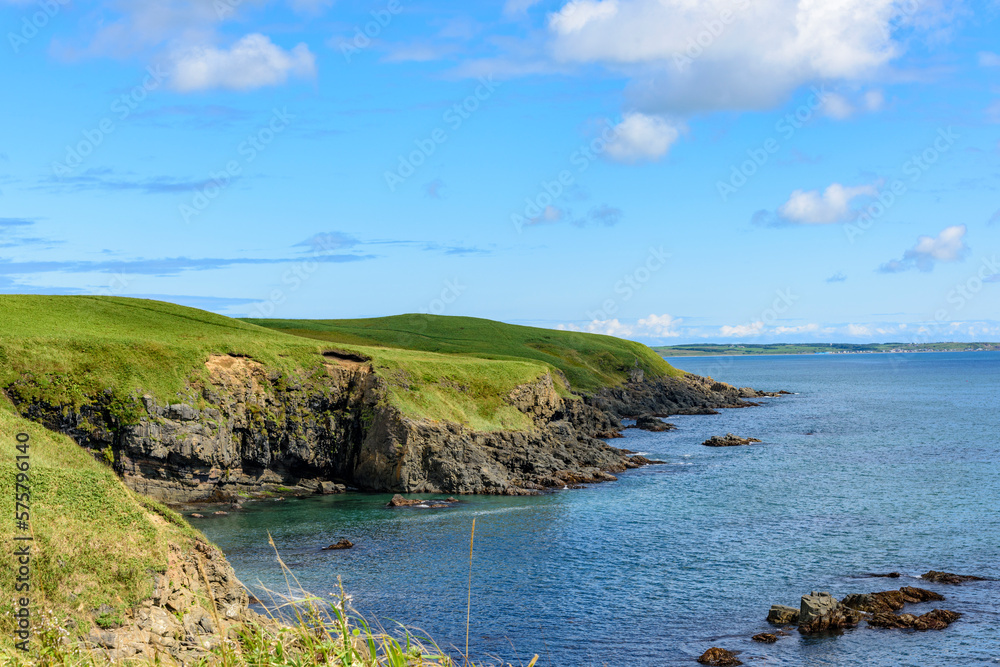 Fototapeta premium 根室花咲岬を歩く