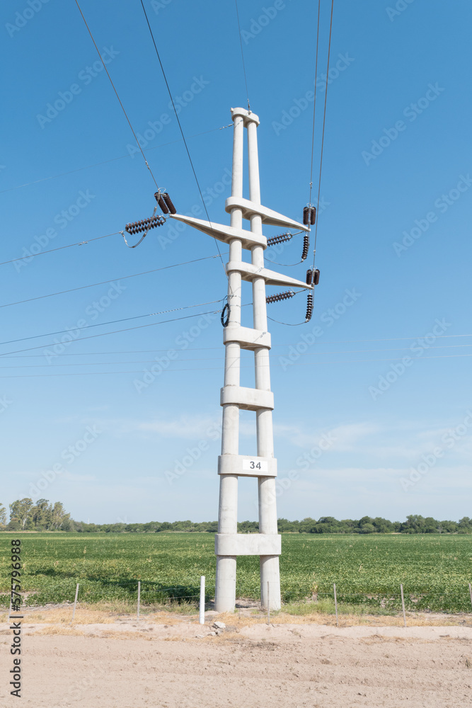 vertical image of a medium tension tower in a crop area