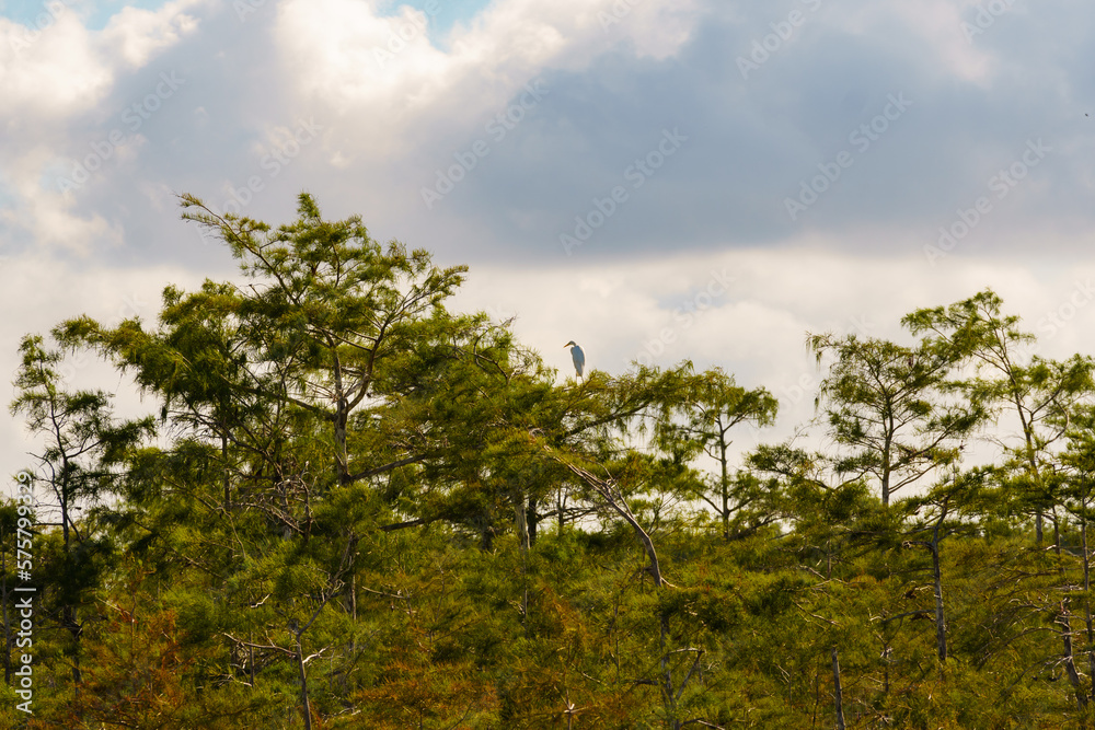 Everglades National Park in Florida Everglades National Park in Florida
