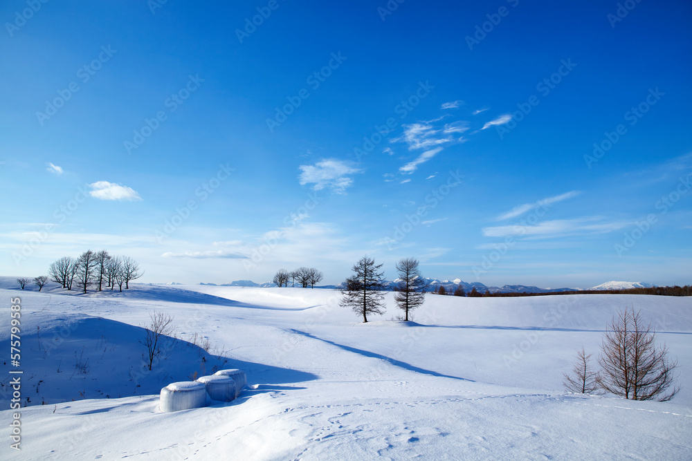 雪原の木々と山並み(中標津町）