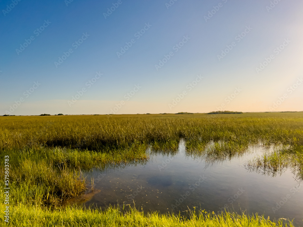 Fototapeta premium Everglades National Park in Florida