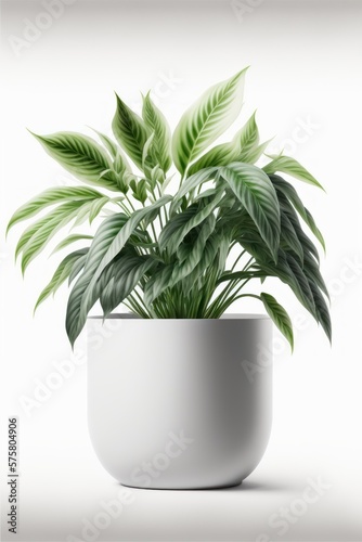 Indoor plant pot, outdoor plants, garden, gardening, container gardening, decorative pots, small pots, large pots. GENERATIVE AI