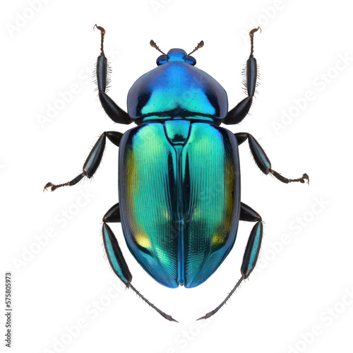 shiny blue beetle , isolated on transparent background cutout , generative ai © Natural PNG
