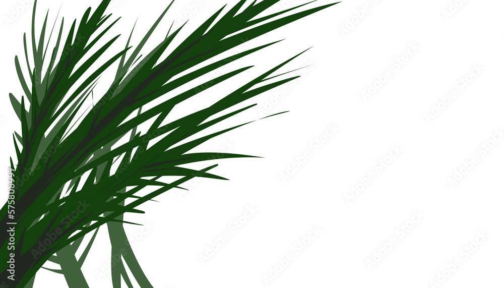Naklejka premium Green grass plant illustration background