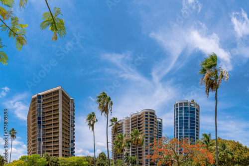 Modern apartments in Miami Beach Florida with vast blue sky background. High rise glass residential buildings in the city with trees and lush green foliage in foreground. © Jason