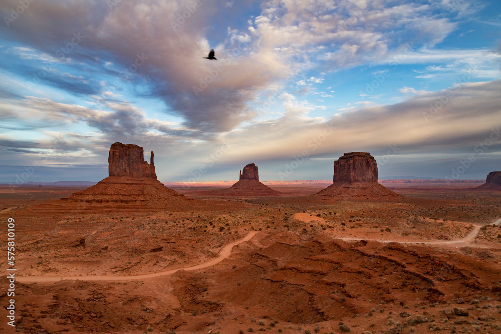 monument valley sunset with bird flying