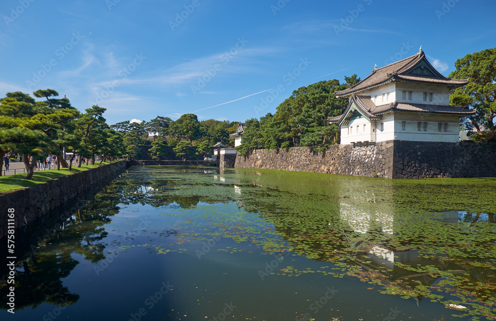 The Kikyo-bori moat overgrown with water plants around the Tokyo Imperial Palace. Tokyo. Japan