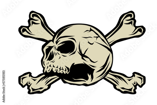 Skull and bones