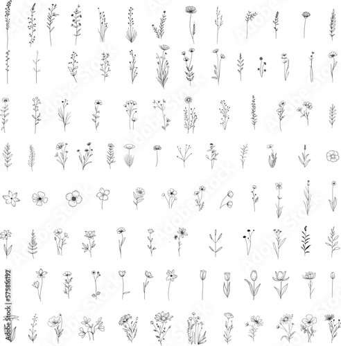 wild flower floral leaf  big set, doodle hand drawn outline style, for wedding love nature printing,card, wedding,love, t shirt,banner,product.vector illustration	

