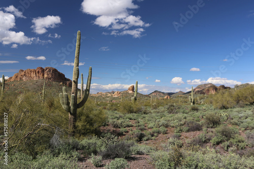 Arizona Desert © James Reininger