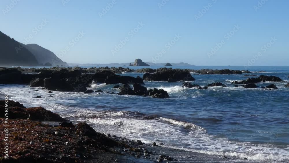 Coastal rocks and seaweed abound in marine reserve on a beautiful clear day - Kaikoura Coastline (New Zealand) Coastal rocks and seaweed abound in marine reserve on a beautiful clear day - Kaikoura Coastline (New Zealand)