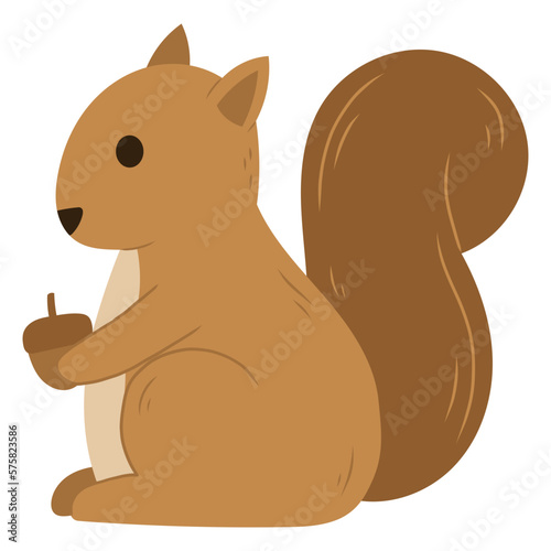 squirrel with nut