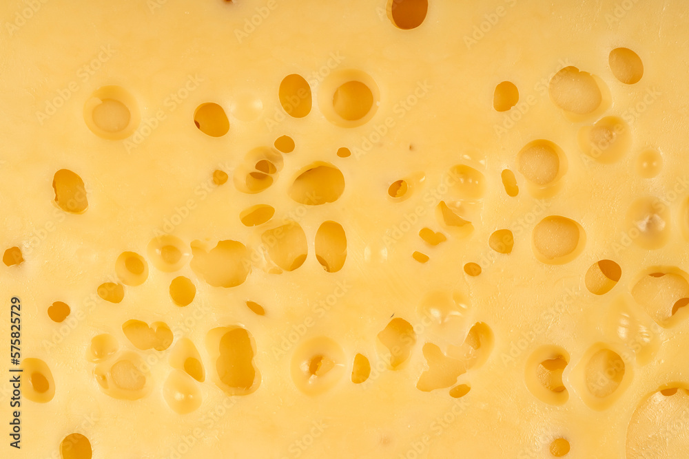 Texture of Radomer cheese close-up on a black background Texture of Radomer cheese close-up on a black background