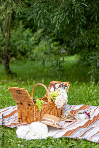 Fototapeta Naklejka Na Ścianę i Meble -  picnic in the meadow with copy space