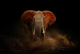 Amazing African elephant with dust and sand. A large animal runs towards the camera. Wildlife scene. Loxodonta africana