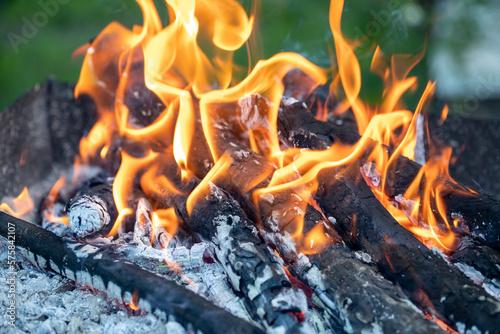 Bonfire in the evening.Wood burning,
abstract flame  background